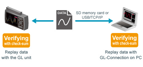 Data file verification